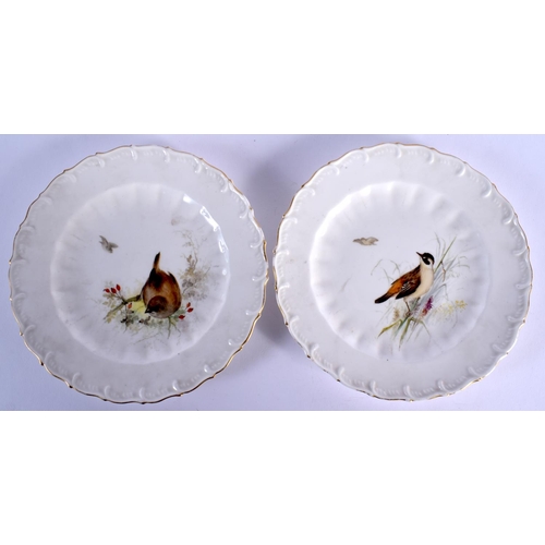 143 - ROYAL WORCESTER PAIR OF SMALL PLATES PAINTED WITH BIRDS DATE MARK 1897 17cm Diameter (Pair)