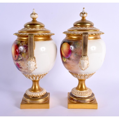 249 - A FINE PAIR OF TWIN HANDLED ROYAL WORCESTER VASES AND COVERS by Freeman, painted with fruit and berr... 