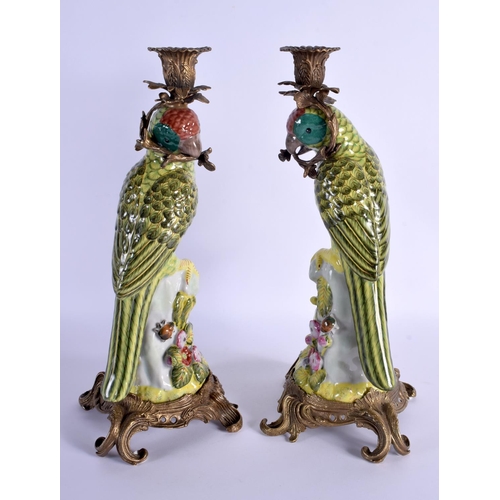258 - A LARGE PAIR OF PORCELAIN PARROT CANDLESTICKS with French mounts. 36 cm high.