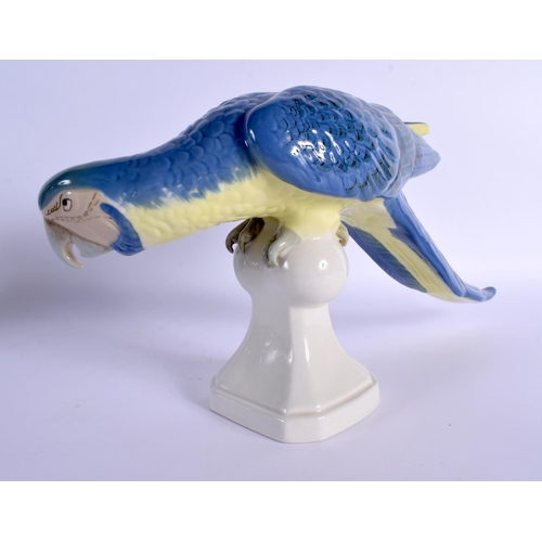 282 - A LARGE ROYAL DUX PORCELAIN FIGURE OF A MACAW PARROT. 24 cm x 32 cm.