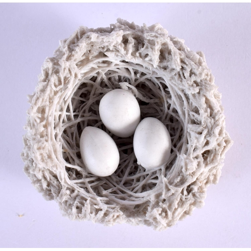 224 - Bristol rare birds nest with three eggs. 7cm wide