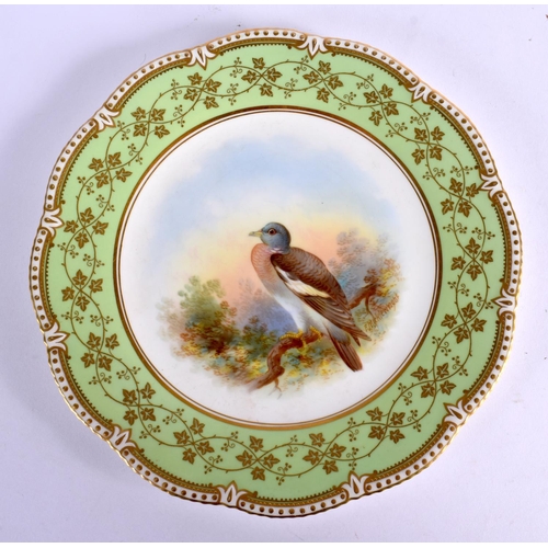 239 - Early 20th c. Aynsley plate painted with a wood pigeon by F. Micklewright, signed, green mark. 22cm ... 