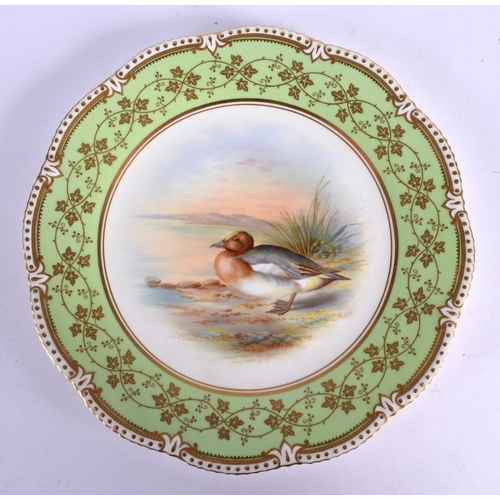 246 - Early 20th c. Aynsley plate painted with a Wigeon by F. Micklewright, signed, green mark. 22cm diame... 