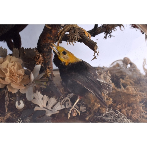 274 - A CASED SET OF VICTORIAN TAXIDERMY BIRDS. 44 cm x 26 cm.