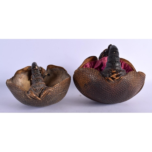 336 - A RARE PAIR OF EARLY 20TH CENTURY ARMADILLO BASKETS. 15 cm x 18 cm.