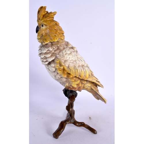 383 - A LARGE CONTEMPORARY COLD PAINTED BRONZE PARROT. 27 cm high.