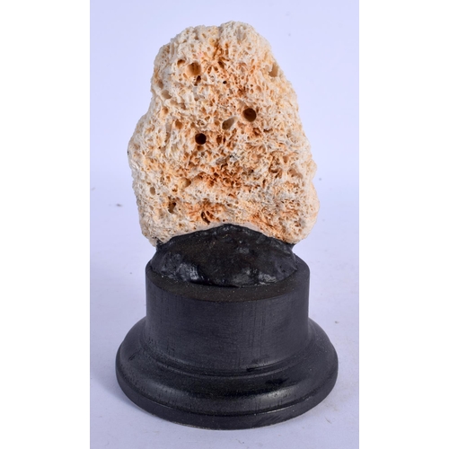 394 - A TAXIDERMY CORAL SPECIMEN 14 cm high.