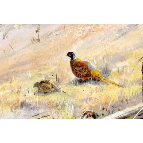 436 - George Edward Lodge (19th Century) Pair, Watercolours, Birds within landscapes. 50 cm x 38 cm.