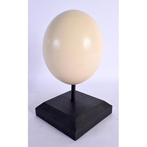 478 - A TAXIDERMY OSTRICH EGG. 24 cm high.