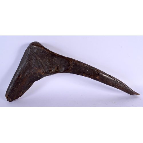 493 - AN EARLY FOSSILISED WOOD PRE CONTACT BIRD HEAD CLUB possibly Kanak. 37 cm x 18 cm.