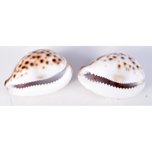 964 - TWO CARVED SHELLS WITH ARABIC SCRIPT.  4.2cm x 7.3cm (2)