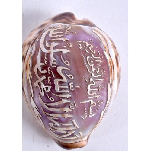 964 - TWO CARVED SHELLS WITH ARABIC SCRIPT.  4.2cm x 7.3cm (2)