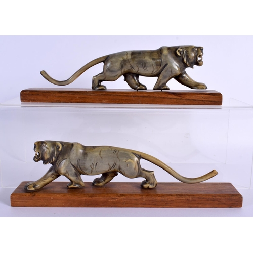 1520 - A PAIR OF 19TH CENTURY CARVED MIDDLE EASTERN RHINOCEROS HORN TIGERS modelled roaming upon wood bases... 