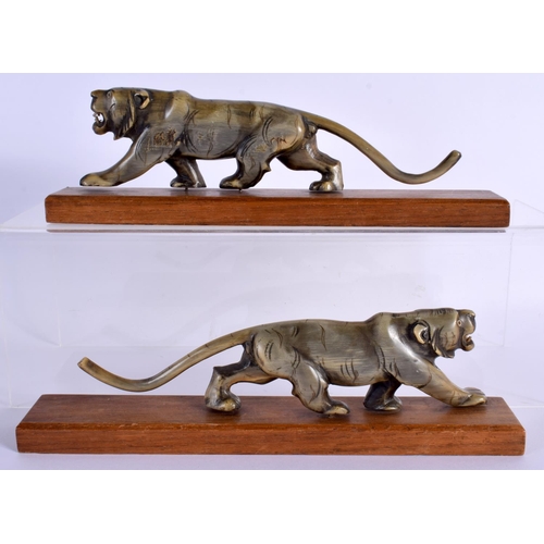 1520 - A PAIR OF 19TH CENTURY CARVED MIDDLE EASTERN RHINOCEROS HORN TIGERS modelled roaming upon wood bases... 