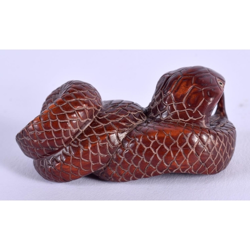 1836 - A JAPANESE BOXWOOD SNAKE NETSUKE. 5.25 cm x 2.5 cm.