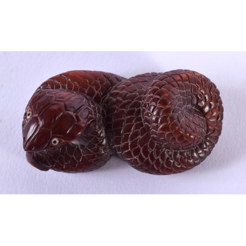 1836 - A JAPANESE BOXWOOD SNAKE NETSUKE. 5.25 cm x 2.5 cm.