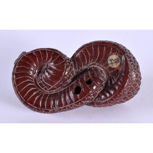 1836 - A JAPANESE BOXWOOD SNAKE NETSUKE. 5.25 cm x 2.5 cm.