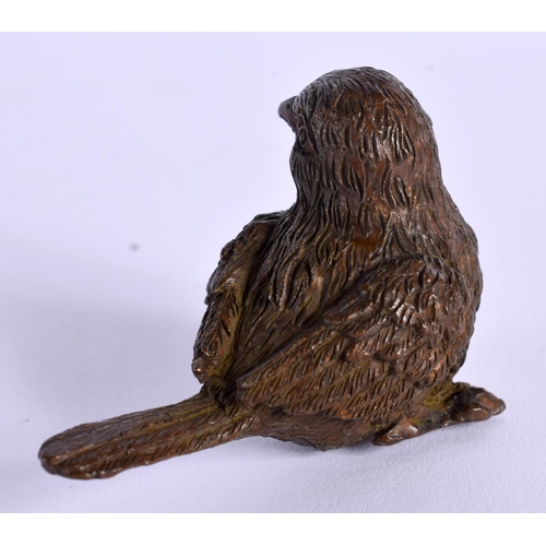 1843 - A JAPANESE BRONZE BIRD OKIMONO. 5.5 cm x 3.75 cm.