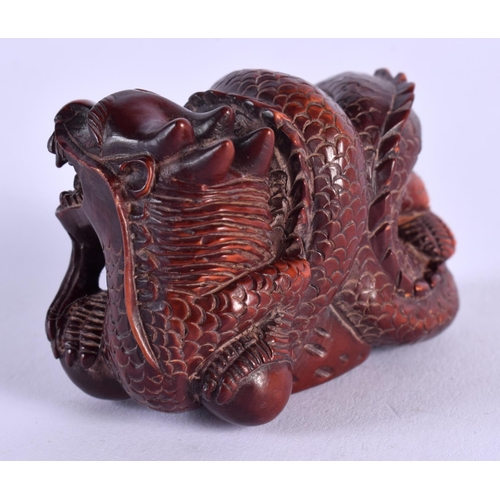 1855 - A JAPANESE BOXWOOD DRAGON NETSUKE. 4 cm x 3 cm.