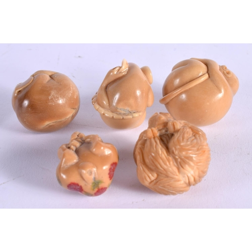 1890 - FIVE JAPANESE TAGUA NUT NETSUKES. 3.5 cm x 2.75 cm. (5)