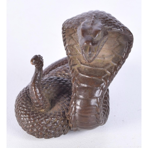 3153 - A Japanese bronze cobra snake. 4.5cm.