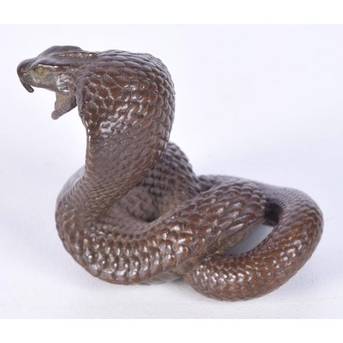 3153 - A Japanese bronze cobra snake. 4.5cm.