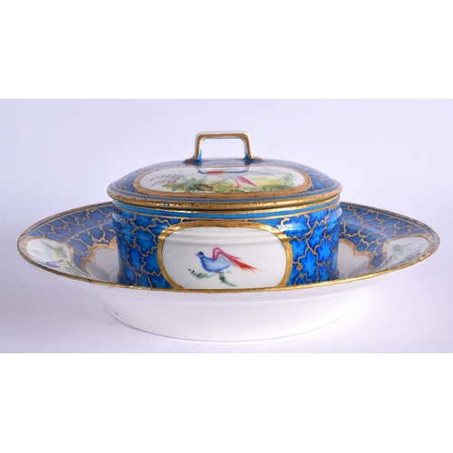 241 - LATE 18TH CENTURY SEVRES BUTTER TUB AND COVER  PAINTED IN WITH EXOTIC BIRDS ON A CRACKED ICE GROUND ... 