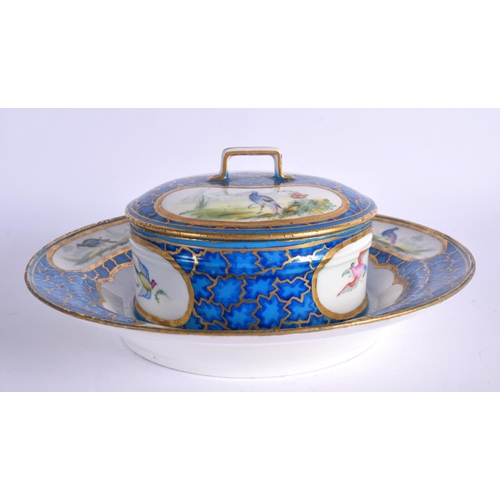 241 - LATE 18TH CENTURY SEVRES BUTTER TUB AND COVER  PAINTED IN WITH EXOTIC BIRDS ON A CRACKED ICE GROUND ... 