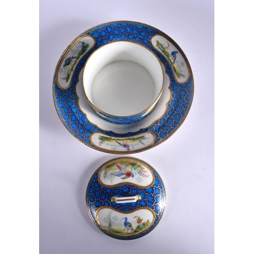 241 - LATE 18TH CENTURY SEVRES BUTTER TUB AND COVER  PAINTED IN WITH EXOTIC BIRDS ON A CRACKED ICE GROUND ... 