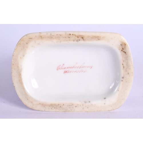 293 - 19TH CENTURY CHAMBERLAIN WORCESTER PUG DOG SEATED ON A BLUSH BLUE BASE  BASE WITH SCRIPT MARK. 6cm H... 