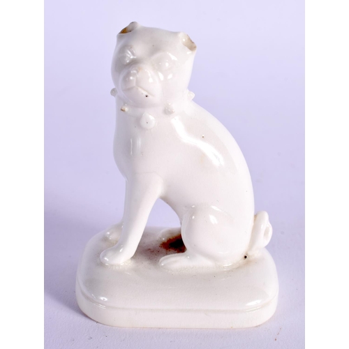 294 - 19TH CENTURY ENGLISH PORCELAIN PUG DOG IN WHITE GLAZE PROBABLY DERBY OR ROCKINGHAM. 7cm High