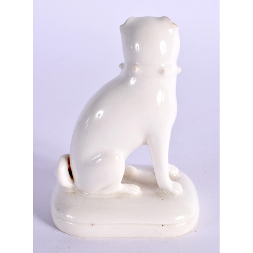 294 - 19TH CENTURY ENGLISH PORCELAIN PUG DOG IN WHITE GLAZE PROBABLY DERBY OR ROCKINGHAM. 7cm High