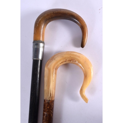 Lot 356       