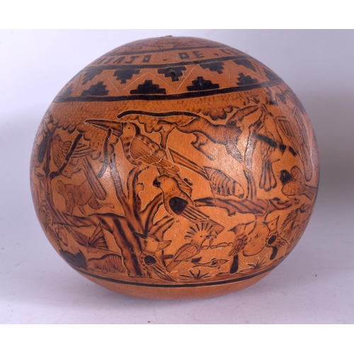 381 - A CHARMING PERUVIAN CARVED AND ENGRAVED SOUTH AMERICAN NUT together with a similar pottery lizard di... 