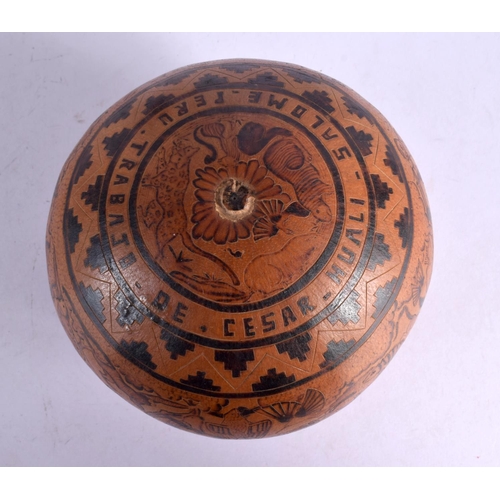 381 - A CHARMING PERUVIAN CARVED AND ENGRAVED SOUTH AMERICAN NUT together with a similar pottery lizard di... 