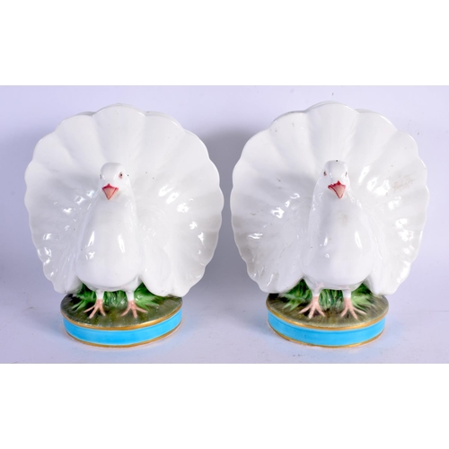 391 - A RARE PAIR OF 19TH CENTURY MINTON PORCELAIN POSY HOLDERS formed as seated doves. 16 cm x 12 cm.