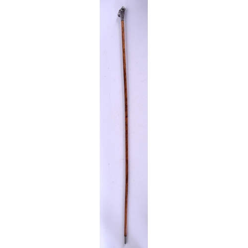 406 - A RARE ANTIQUE SILVER MOUNTED MONKEY HEAD SWAGGER STICK. 80 cm long.