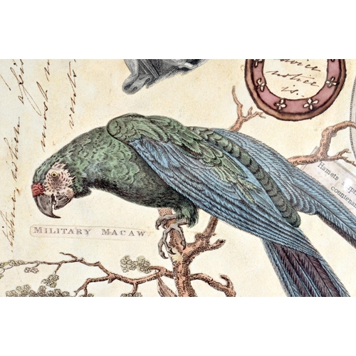 410 - A VERY UNUSUAL 19TH CENTURY STONYHURST COLLEGE ENGRAVING by Roffe  decorated with military macaws et... 