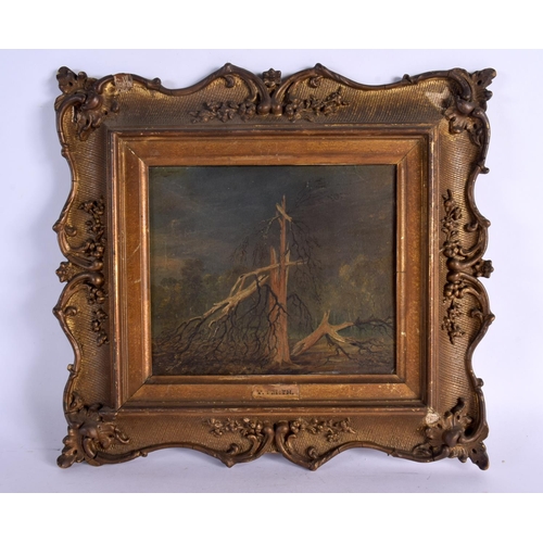 Lot 435       