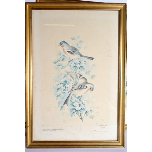 212 - Royal Worcester nine limited edition bird prints by Edward Townsend dated 1975, in good modern gilt ... 