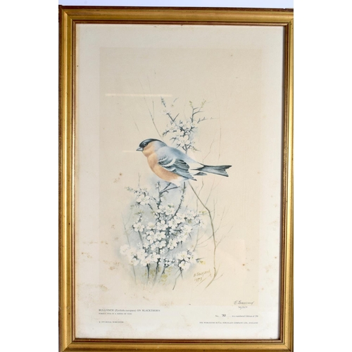 212 - Royal Worcester nine limited edition bird prints by Edward Townsend dated 1975, in good modern gilt ... 