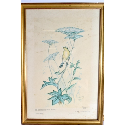 212 - Royal Worcester nine limited edition bird prints by Edward Townsend dated 1975, in good modern gilt ... 