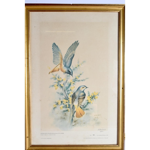 212 - Royal Worcester nine limited edition bird prints by Edward Townsend dated 1975, in good modern gilt ... 