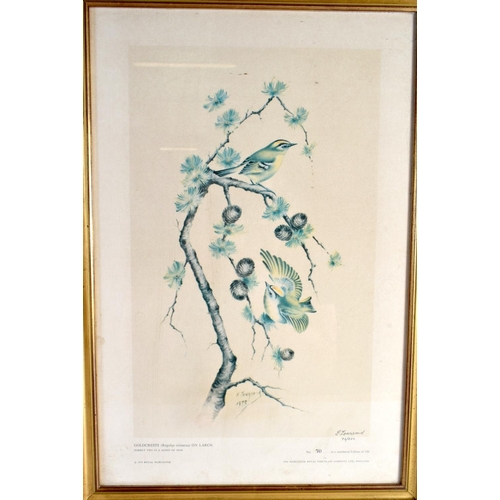 212 - Royal Worcester nine limited edition bird prints by Edward Townsend dated 1975, in good modern gilt ... 