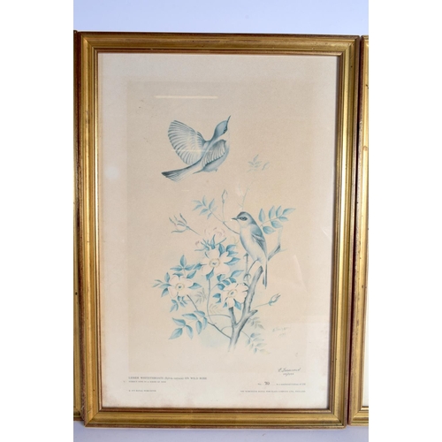 212 - Royal Worcester nine limited edition bird prints by Edward Townsend dated 1975, in good modern gilt ... 