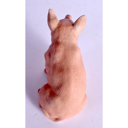 65 - A CONTINENTAL BISQUE PORCELAIN FIGURE OF A PIG. 11 cm x 11 cm.