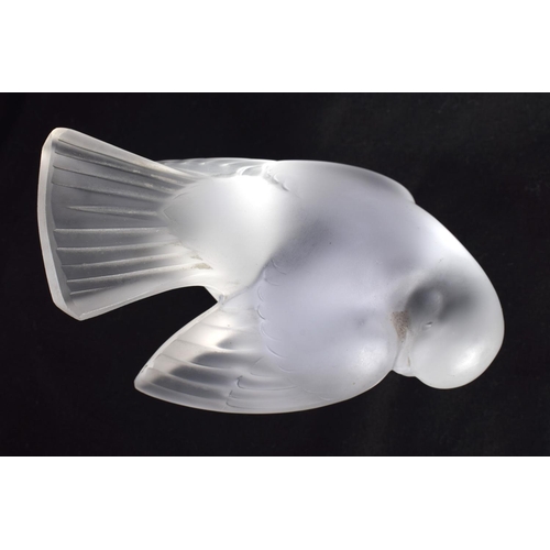 76 - A FRENCH LALIQUE GLASS BIRD. 10 cm x 8 cm.