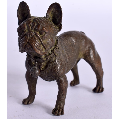 1101 - A BRONZE MODEL OF A BULLDOG.  6.5cm x 8cm x 3cm, weight 227.7g