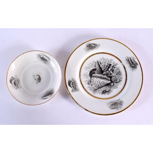 234 - Early 19th century Worcester porcelain comprising three cups and saucer one with gilded decoration, ... 