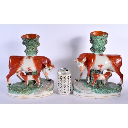 294A - A LARGE PAIR OF 19TH CENTURY STAFFORDSHIRE FIGURES OF COWS modelled with calfs. 30 cm x 18 cm.